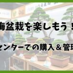 梅盆栽はホームセンターで買える？初心者向けの選び方と育て方