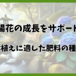 紫陽花の肥料と時期｜年間の施肥計画と花を咲かせるコツを徹底解説