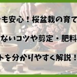 桜盆栽の育て方初心者向け完全ガイド！枯れさせないコツと注意点