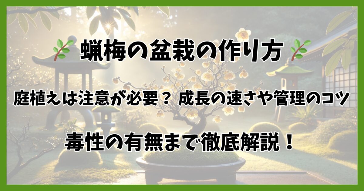 蝋梅の盆栽の作り方と基本の育て方｜美しい花を咲かせるコツも解説