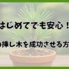 明るい日本庭園を背景に、テラコッタ鉢で元気に育つ五葉松の挿し木。青々とした針葉と丁寧に管理された土壌が自然光の下で映える。イメージ：苔っと盆栽ライフ