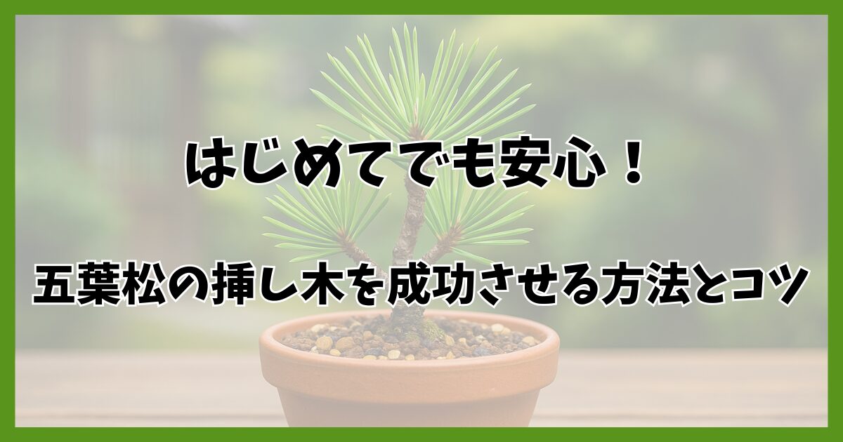 明るい日本庭園を背景に、テラコッタ鉢で元気に育つ五葉松の挿し木。青々とした針葉と丁寧に管理された土壌が自然光の下で映える。イメージ：苔っと盆栽ライフ