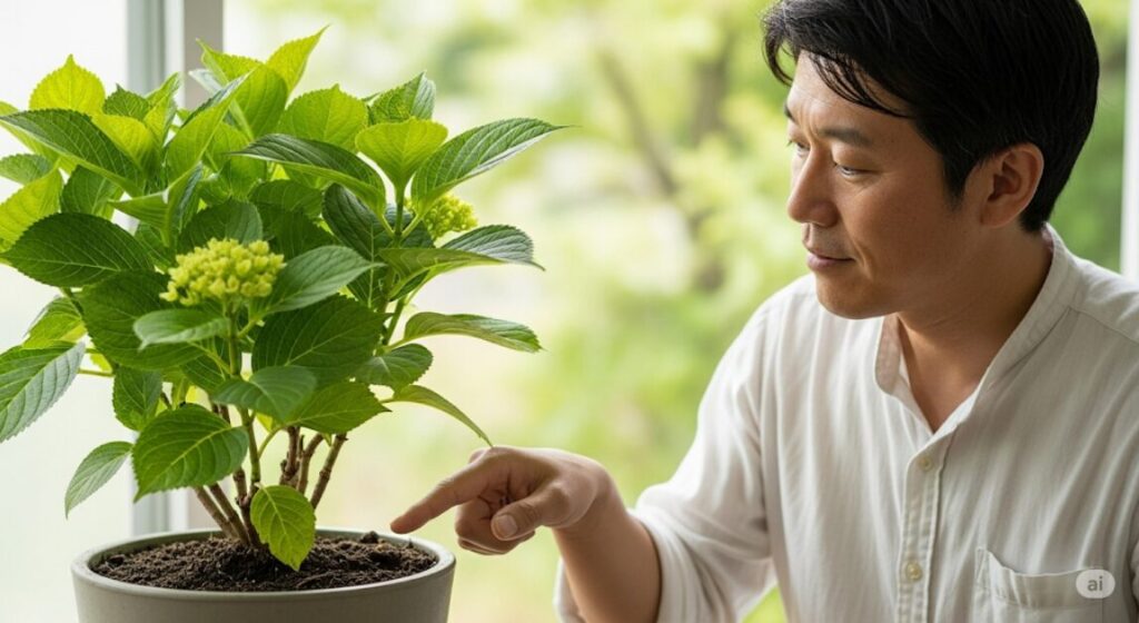 弱った株を復活させるための管理術