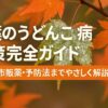 紅葉のうどんこ病 対策完全ガイド 重曹・市販薬・予防法までやさしく解説！