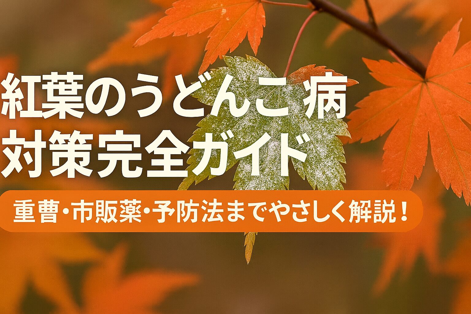紅葉のうどんこ病 対策完全ガイド 重曹・市販薬・予防法までやさしく解説！
