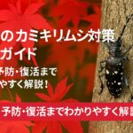 紅葉のカミキリムシ対策 完全ガイド 駆除・予防・復活までわかりやすく解説！