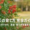 南天の赤い実と緑の葉を背景に、「南天の育て方 完全ガイド　植え付けから剪定・実つき改善まで」と表示されたアイキャッチ画像。