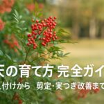 南天の赤い実と緑の葉を背景に、「南天の育て方 完全ガイド　植え付けから剪定・実つき改善まで」と表示されたアイキャッチ画像。