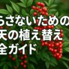 南天（ナンテン）の赤い実と緑の葉を背景に、「枯らさないための南天の植え替え完全ガイド」という白い太字テキストが中央に配置されたアイキャッチ画像。明るく自然で、読者の興味を引くデザイン。